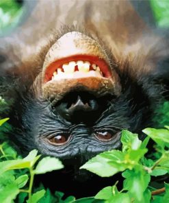 Bonobo Monkey Smiling Diamond Painting