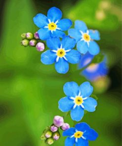 Forget Me Not Diamond Painting