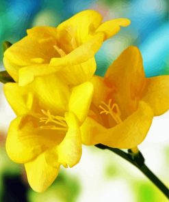 Yellow Freesia Flower Diamond Painting