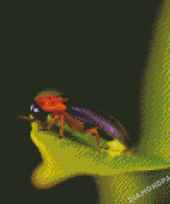 Firefly Insect Diamond Painting