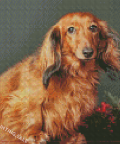 Red Dachshund Dog Diamond Painting