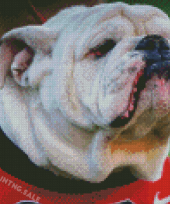 Aesthetic Georgia Bulldogs Diamond Painting