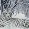 Aesthetic White Siberian Tiger Diamond Painting