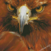 Golden Eagle Close Up Diamond Painting
