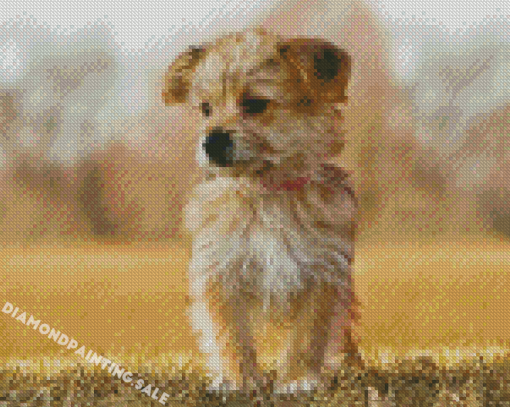 Morkie Pet Diamond Painting