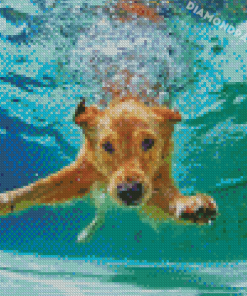 Dog In Water Diamond Painting