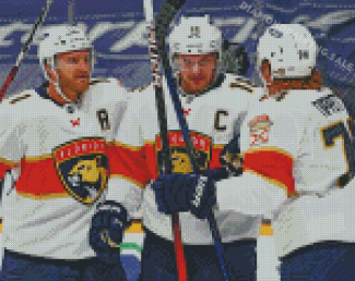 Florida Panthers Ice Hockey Players Diamond Painting