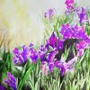 Artistic Iris Field Diamond Painting
