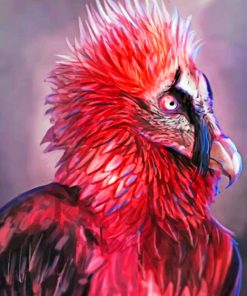 Bearded Vulture Art Diamond Painting