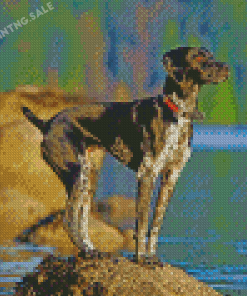 German Shorthaired Pointer Dog Diamond Painting
