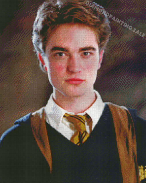 Cedric Diggory Character Diamond Painting