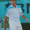 Fabrice Santoro Tennis Player Diamond Painting
