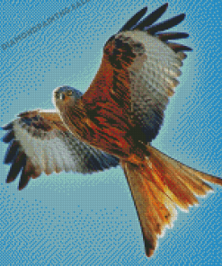 Flying Red kite Diamond Painting