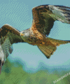 Flying Red kite Bird Diamond Painting