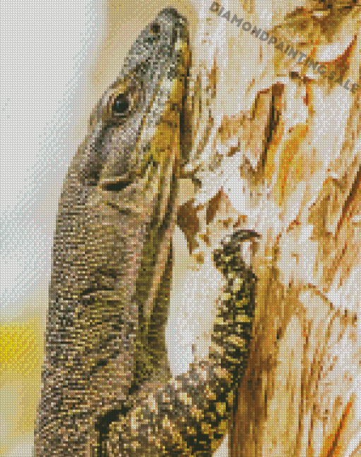 Goanna On Tree Diamond Painting