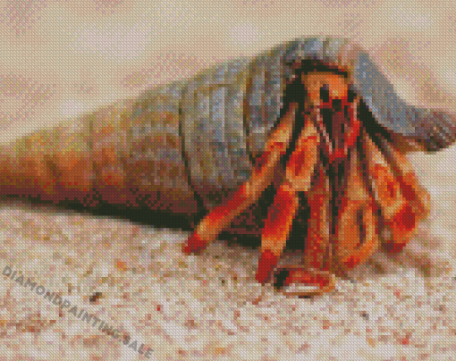 Hermit Crab Diamond Painting