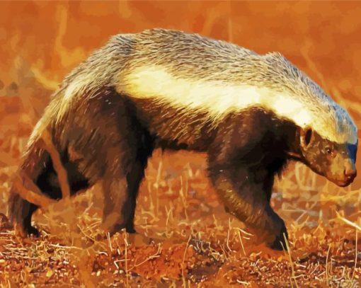 Honey Badger Animal Diamond Painting