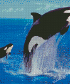 Orcas Diamond Painting