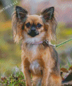 Adorable Leash Dog Diamond Painting