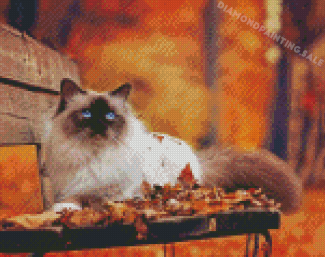 Cat And Leaves On Chaire Diamond Painting