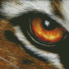 Aesthetic Tiger Eyes Art Diamond Painting