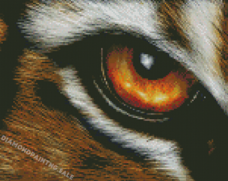 Aesthetic Tiger Eyes Art Diamond Painting
