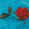 Beautiful Red Flower In Water Diamond Painting