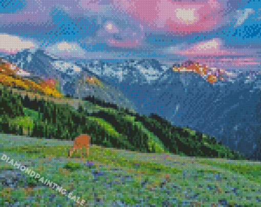Olympic Mountains Landscape Diamond Painting