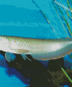 The Arowana Fish Diamond Painting