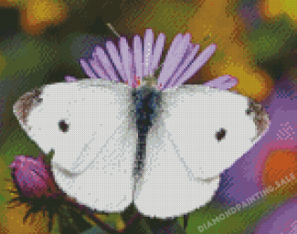 White Butterfly Art Diamond Painting