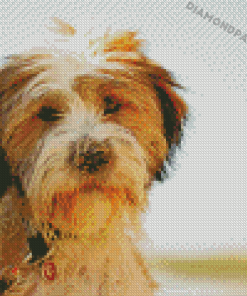 Adorable Tibetan Terrier Puppy Diamond Painting Diamond Painting