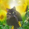 Aesthetic Cat And Sunflower