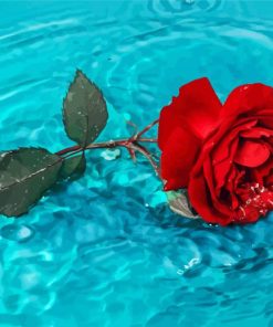 Beautiful Red Flower In Water Diamond Painting