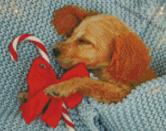 Cocker Spaniel Puppy Diamond Painting