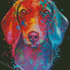 Colorful Dachshund Dog Diamond Painting