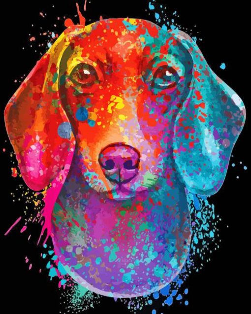 Colorful Dachshund Dog Diamond Painting