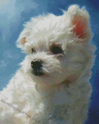 Cute Maltese Dog Puppy Diamond Painting