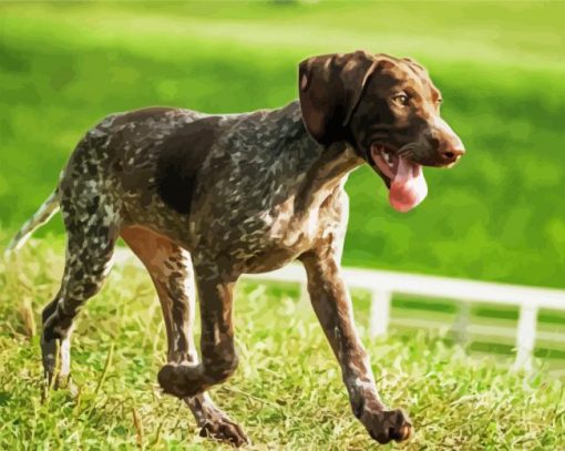 German Shorthaired Diamond Painting