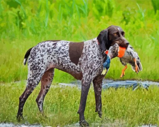 Hunter German Shorthaired Dog Diamond Painting