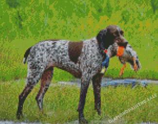 Hunter German Shorthaired Dog Diamond Painting