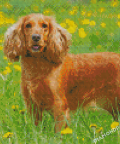 English Cocker Spaniel Dog Diamond Painting