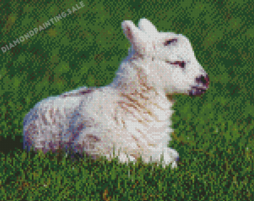 Little Lamb Side Profile Diamond Painting