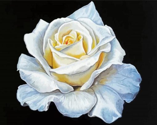 White Rose Art Diamond Painting