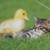 Baby Duck And Cat Diamond Painting