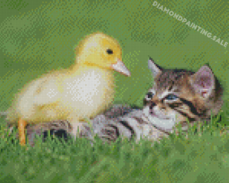 Baby Duck And Cat Diamond Painting