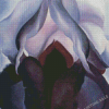 Black Iris O Keeffe Diamond Painting