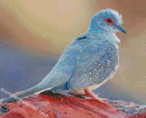 Diamond Dove Bird Diamond Painting