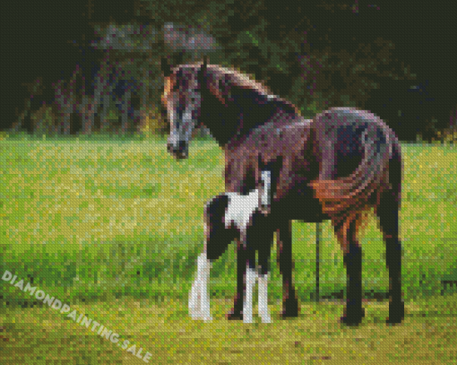 Horse And Foal Diamond Painting