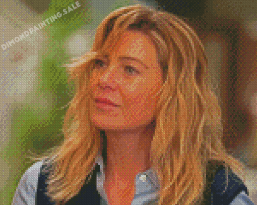 Meredith Grey Illustration Diamond Painting