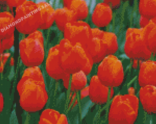 Orange Tulips Diamond Painting